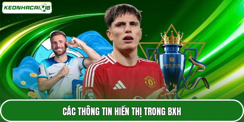 Các thông tin hiển thị trong BXH