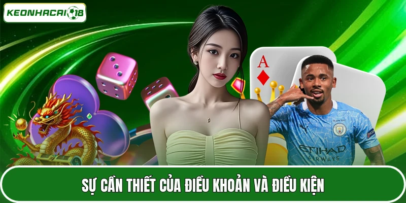 Sự cần thiết của điều khoản và điều kiện